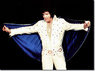 Elvis on tour