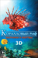 Коралловый риф Охотники и жертвы 3D